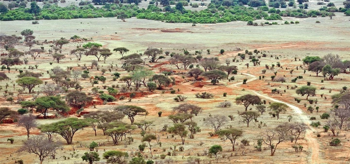 The beautiful plains of one of the oldest parks in Kenya, Tsavo National Park