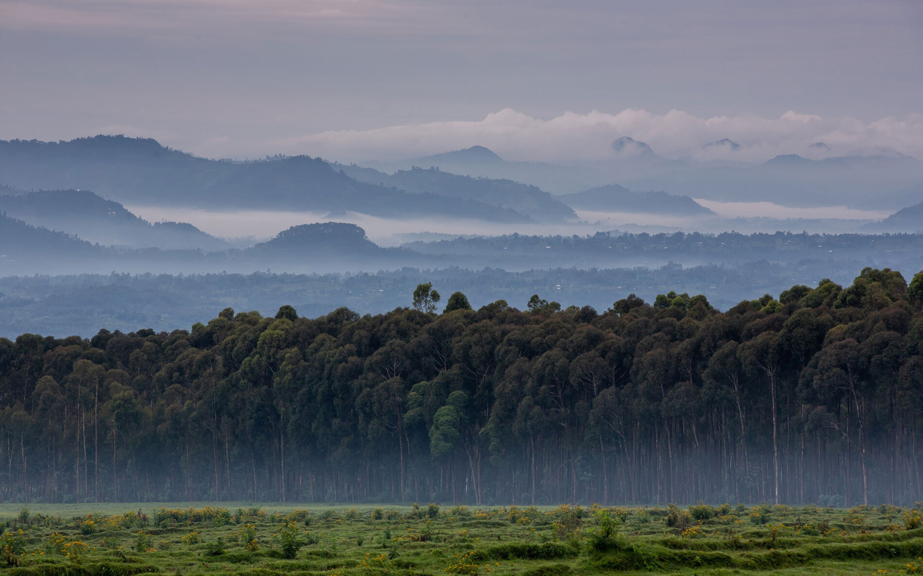 Rwanda Safari and Gorilla Trekking Travel Guide