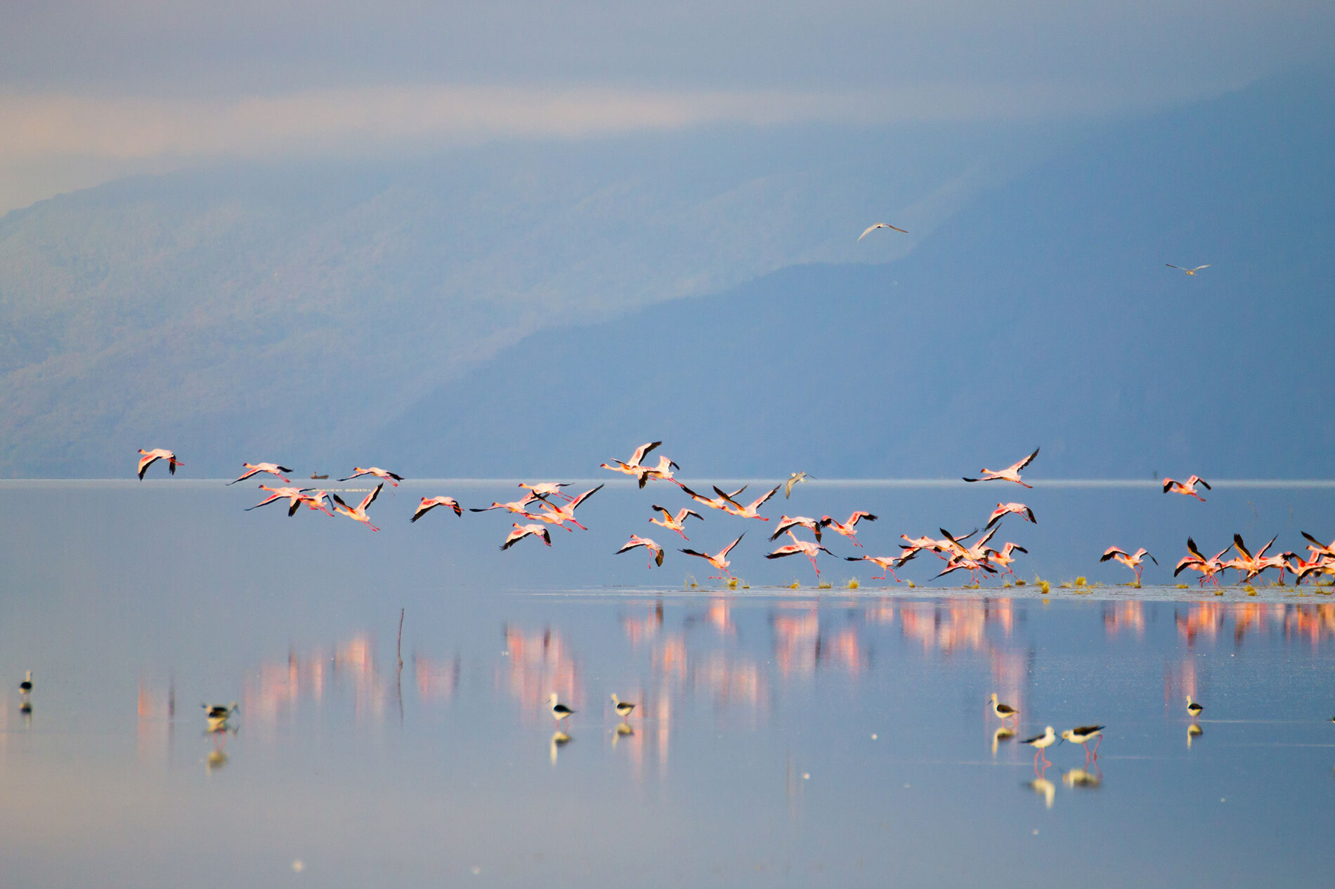Parque Nacional del Lago Manyara