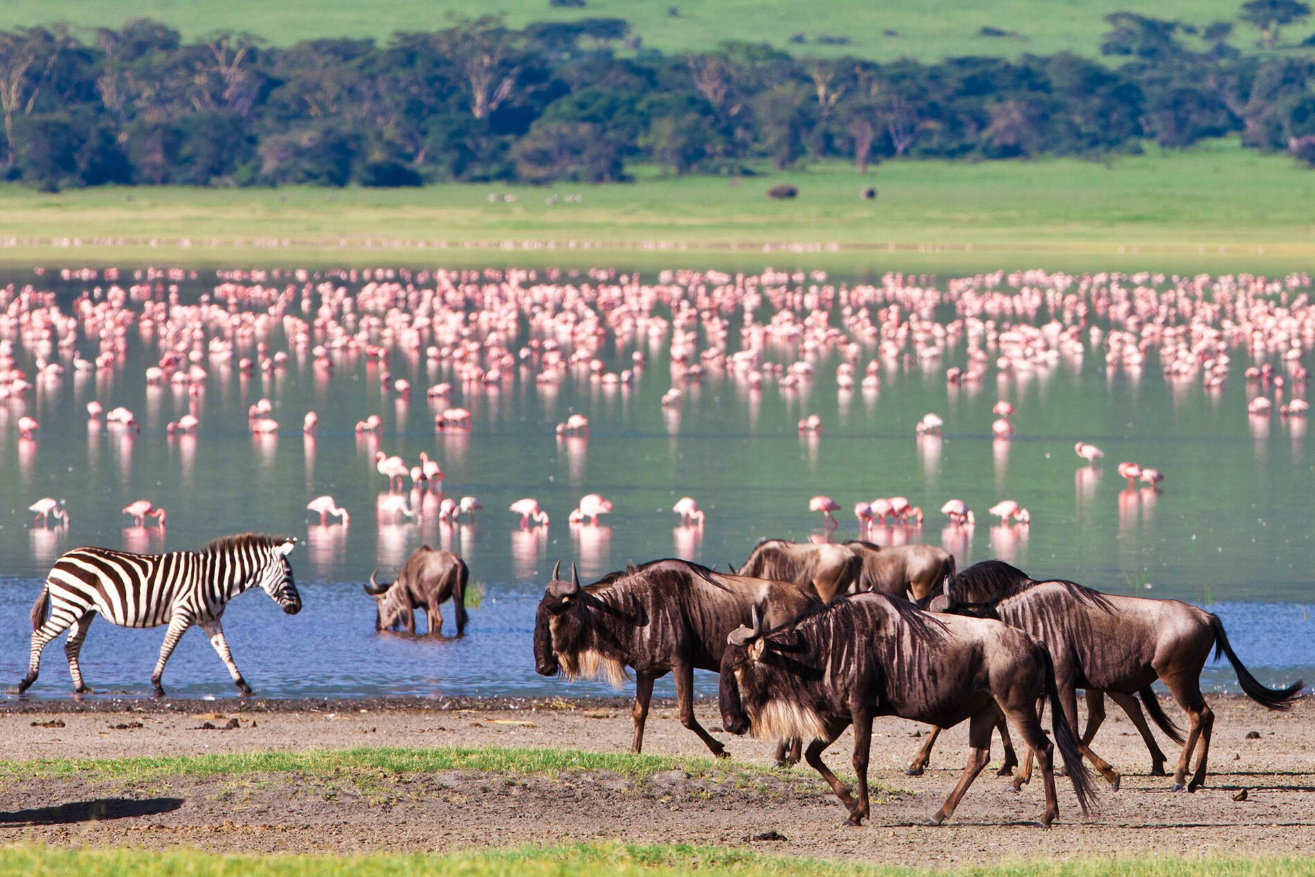 Ngorongoro Crater: Africa's Eden in Luxury Style