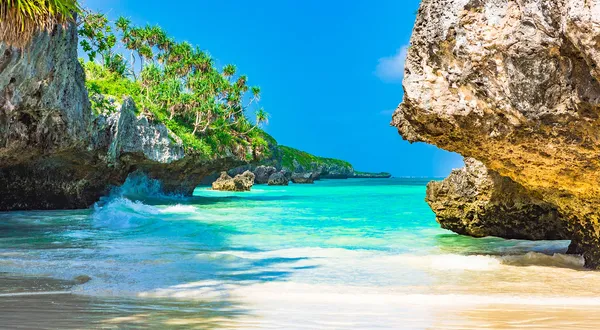 Planning Your Ideal Zanzibar Tour