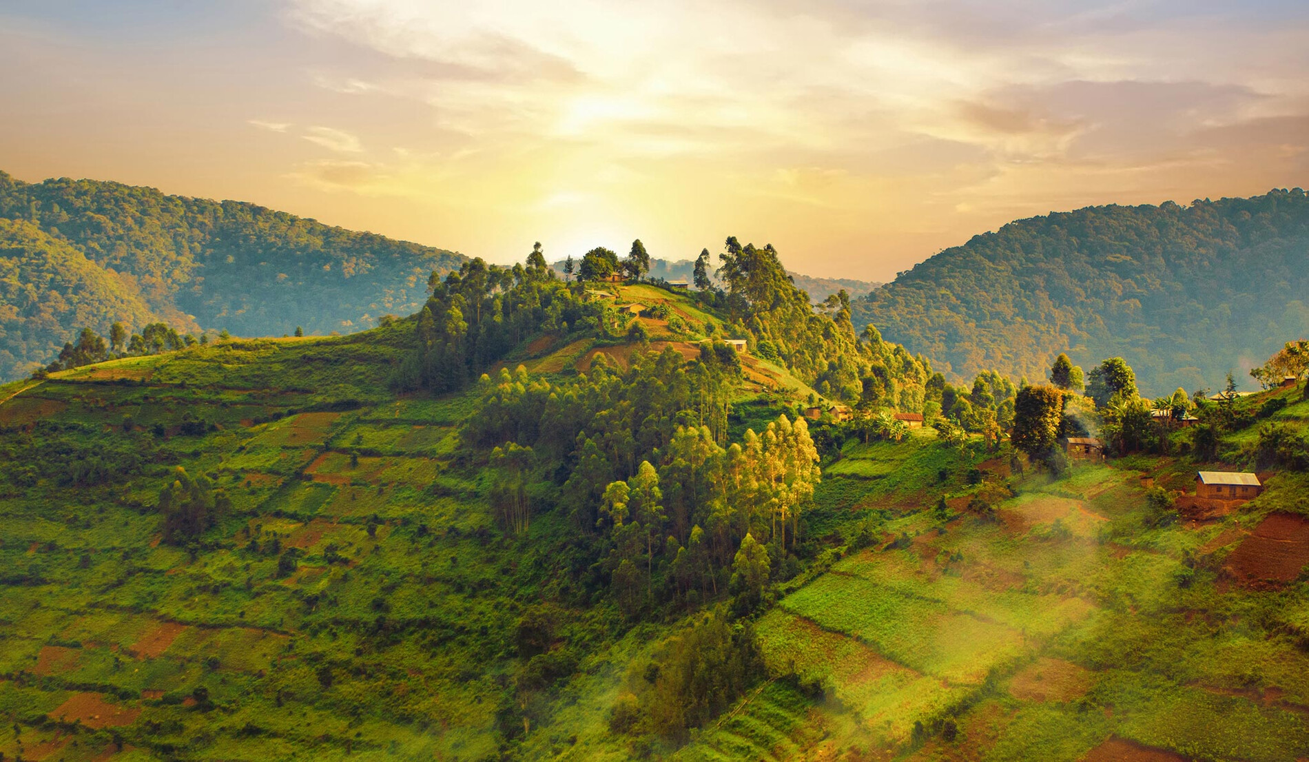 Uganda Tours and Safaris - Travel Guide | Rhino Africa