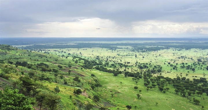 The lush green plains of Bwindi National Park