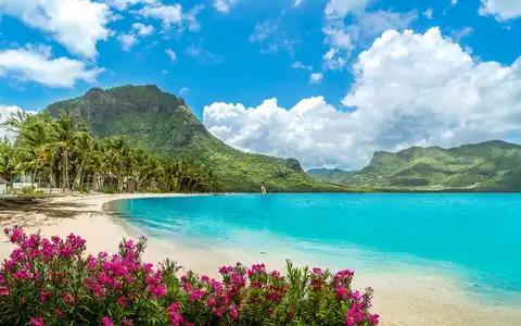 Safari & Sea Honeymoon: South Africa to Mauritius
