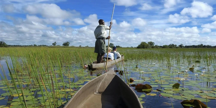Glide across the peaceful Chobe river in a mokoro, Botswana