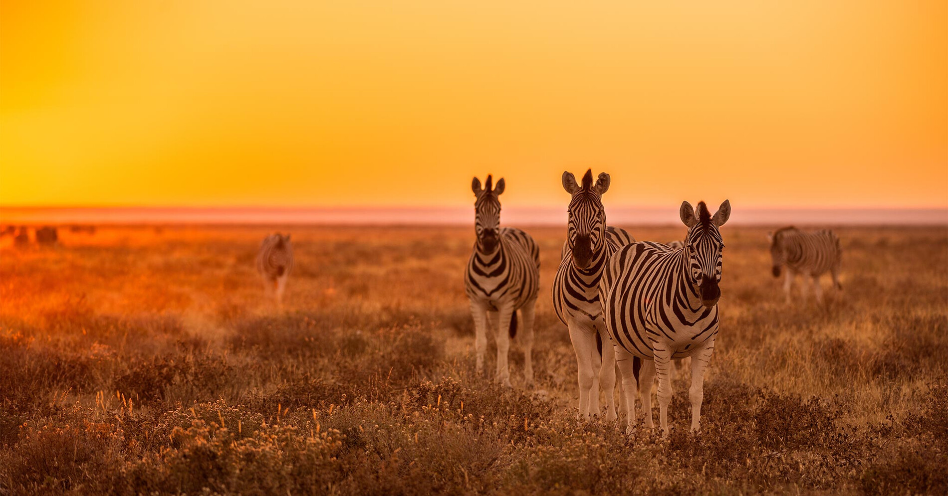 Best Time To Visit Namibia – Travel Tips | Rhino Africa
