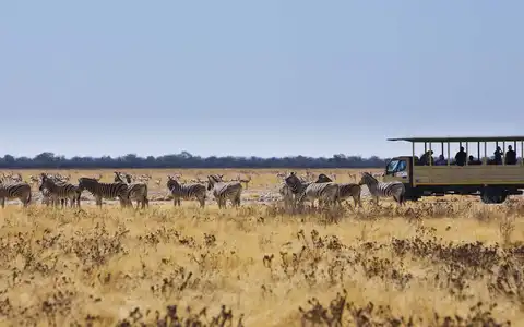Namibia Highlights: Self-Drive Safari Tour