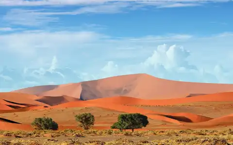 Namibia Essentials: Self-Drive Safari Tour