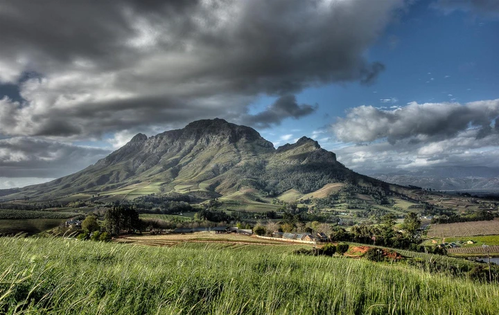 Caminhe entre os vinhedos de Stellenbosch