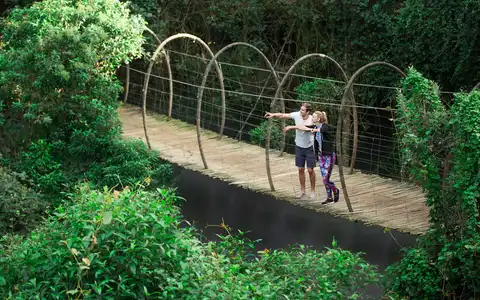 Cape Town, Garden Route & Eastern Cape Safari Tour
