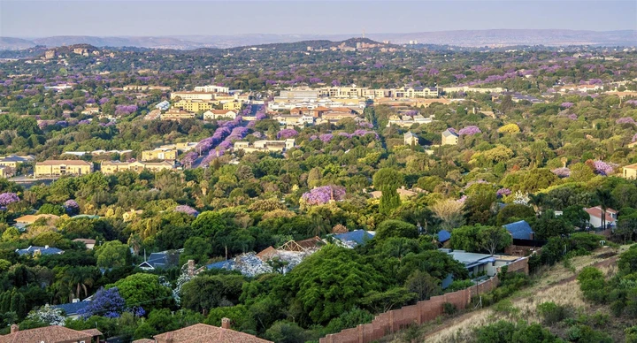An aerial view of the Jacaranda lined streets of Pretoria