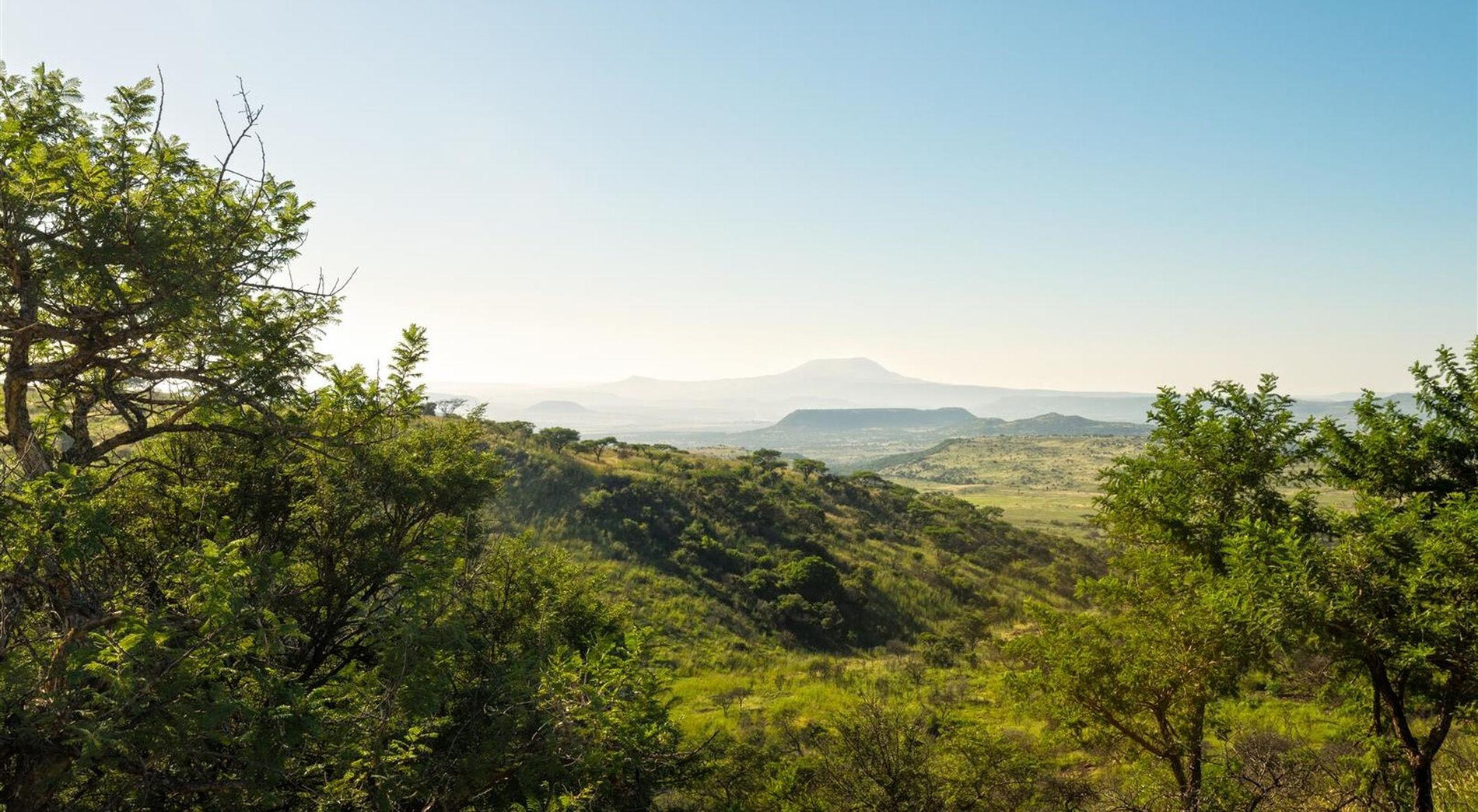 KwaZulu-Natal Battlefields - South Africa | Rhino Africa