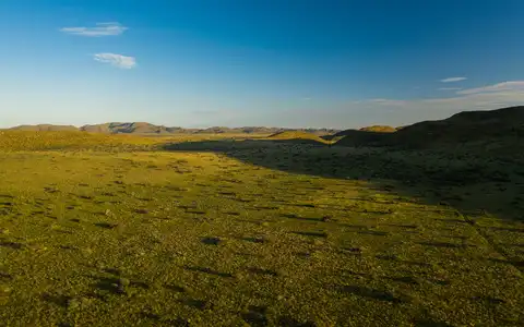 Southern Africa Private Concession Tour