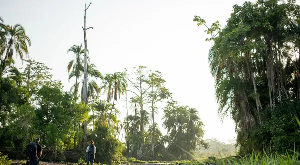 What is The Best Congo Safari Tour?