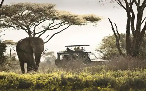 Tansania-Safari und Sansibar