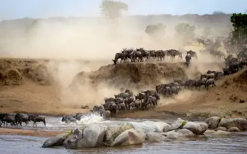 Mara to Serengeti: East African Icons Safari Tour