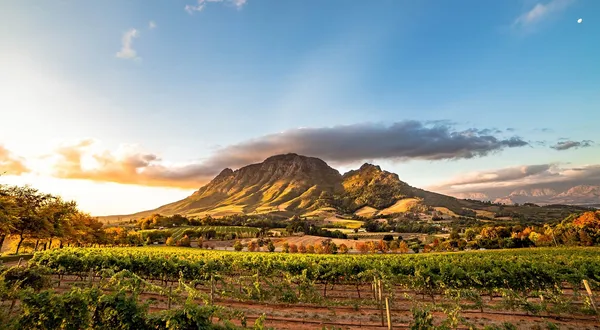 Discover an African version of Provençe