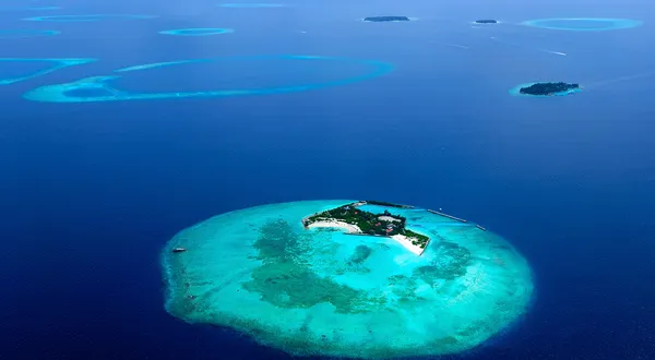 Enjoy a tailor-made tour of tropical paradise