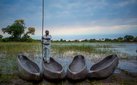 Water, Wild & Wonder: Botswana Safari & Victoria Falls
