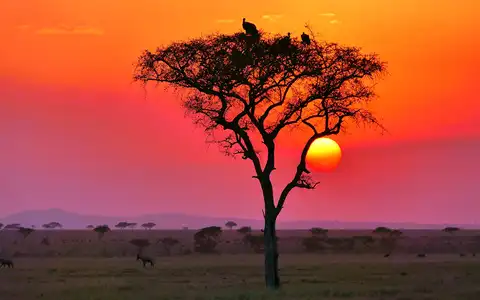 Tanzania Revealed: Sun, Savannah and Spice