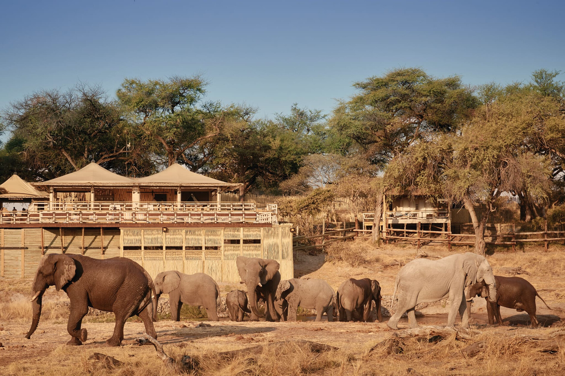 Belmond Savute Elephant Lodge – Chobe | Rhino Africa