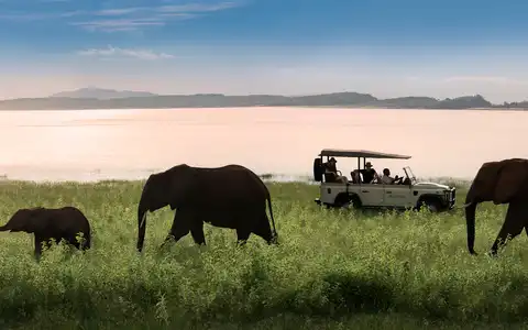 Walk with Elephants: Zimbabwe & Zambia Safari