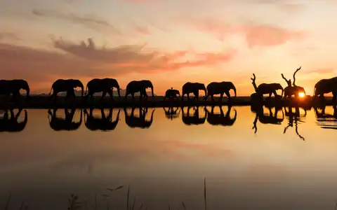 Adventurous Cape Town and Kruger Park Tour