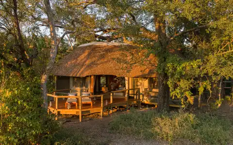 Camp Moremi