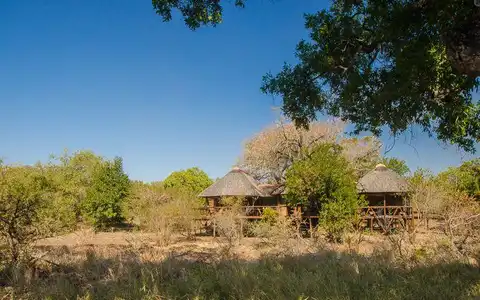 Camp Shonga