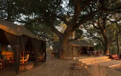 Nomad Chada Katavi
