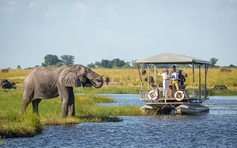 Adventurous Safari in Moremi and Okavango