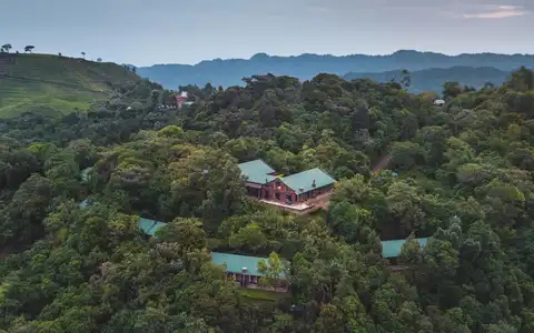 Clouds Mountain Gorilla Lodge