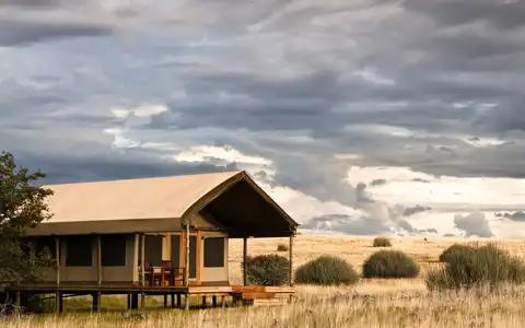 Desert Rhino Camp