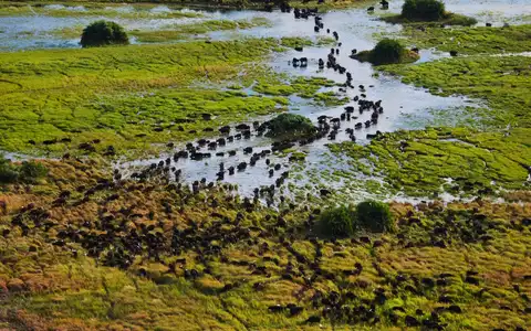 Tides & Tracks: Okavango, Vic Falls and Rovos Rail Tour