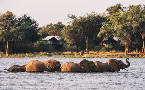 Dulini Anabezi