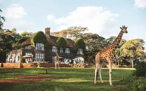 Giraffe Manor