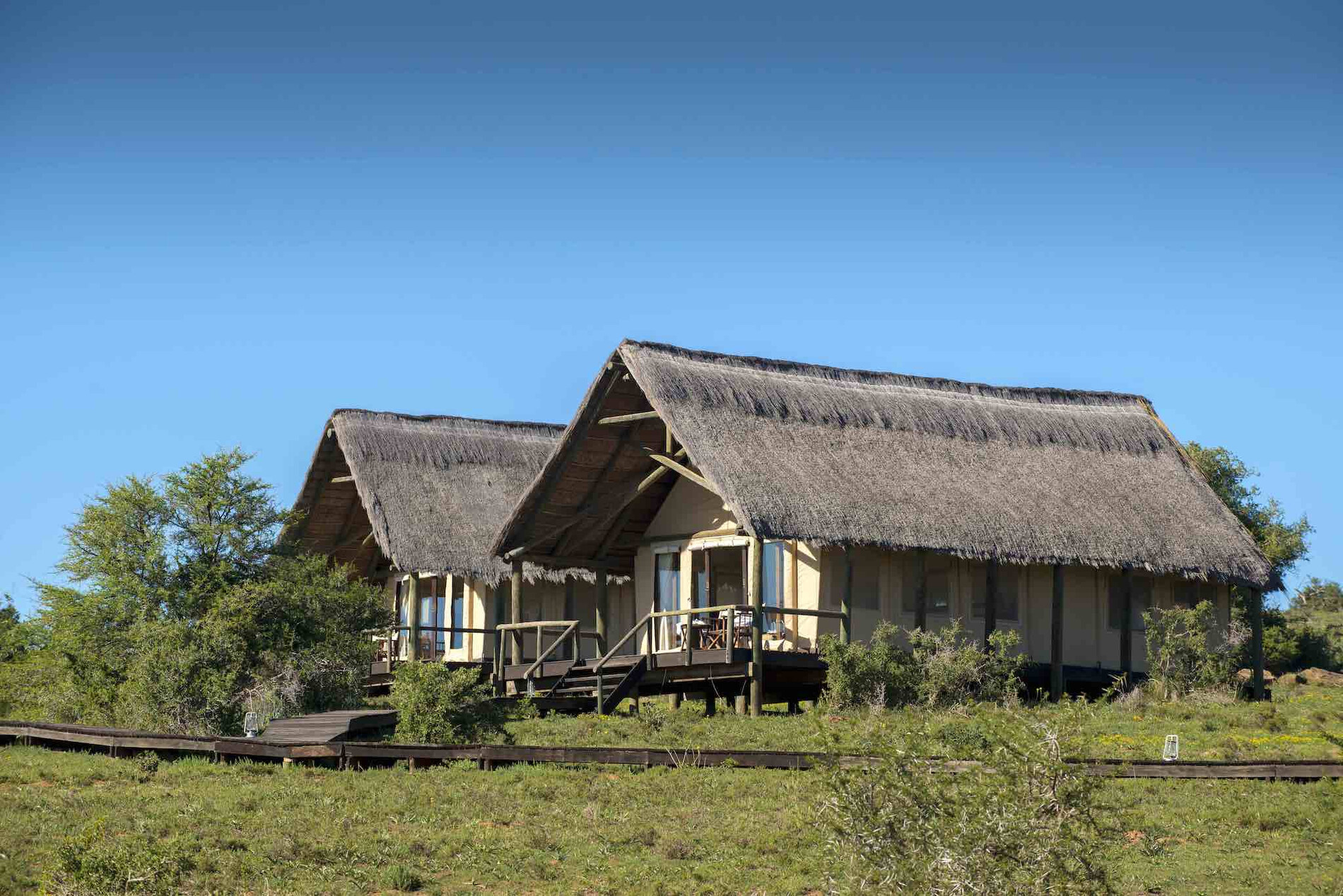 Gorah Elephant Camp - Addo Elephant Park | Rhino Africa