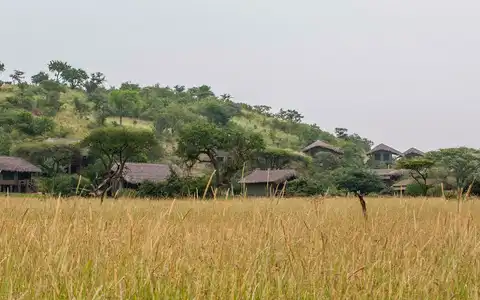 Grumeti Migration Camp
