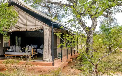 Honeyguide Mantobeni Camp