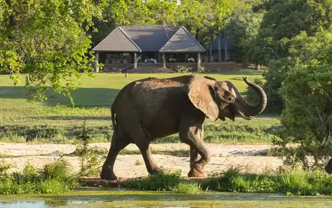 Inyati Game Lodge