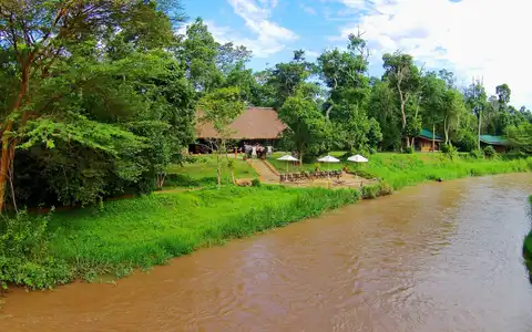 Ishasha Wilderness Camp