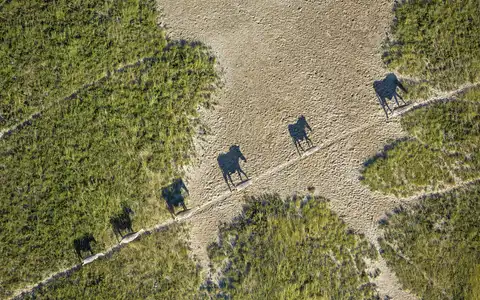 Botswana's Best of Safari Adventure Tour