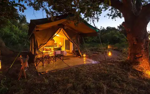 John's Camp
