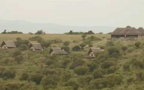Kasenyi Safari Camp