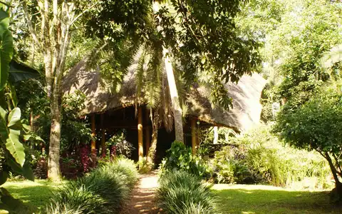 Kibale Forest Camp