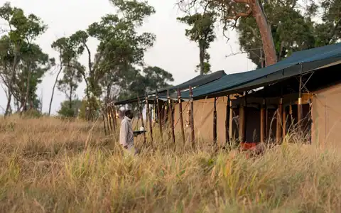 Lemala Mara