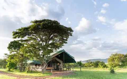 Little Governors' Camp