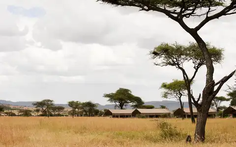 Ndutu Kati Kati Tented Camp