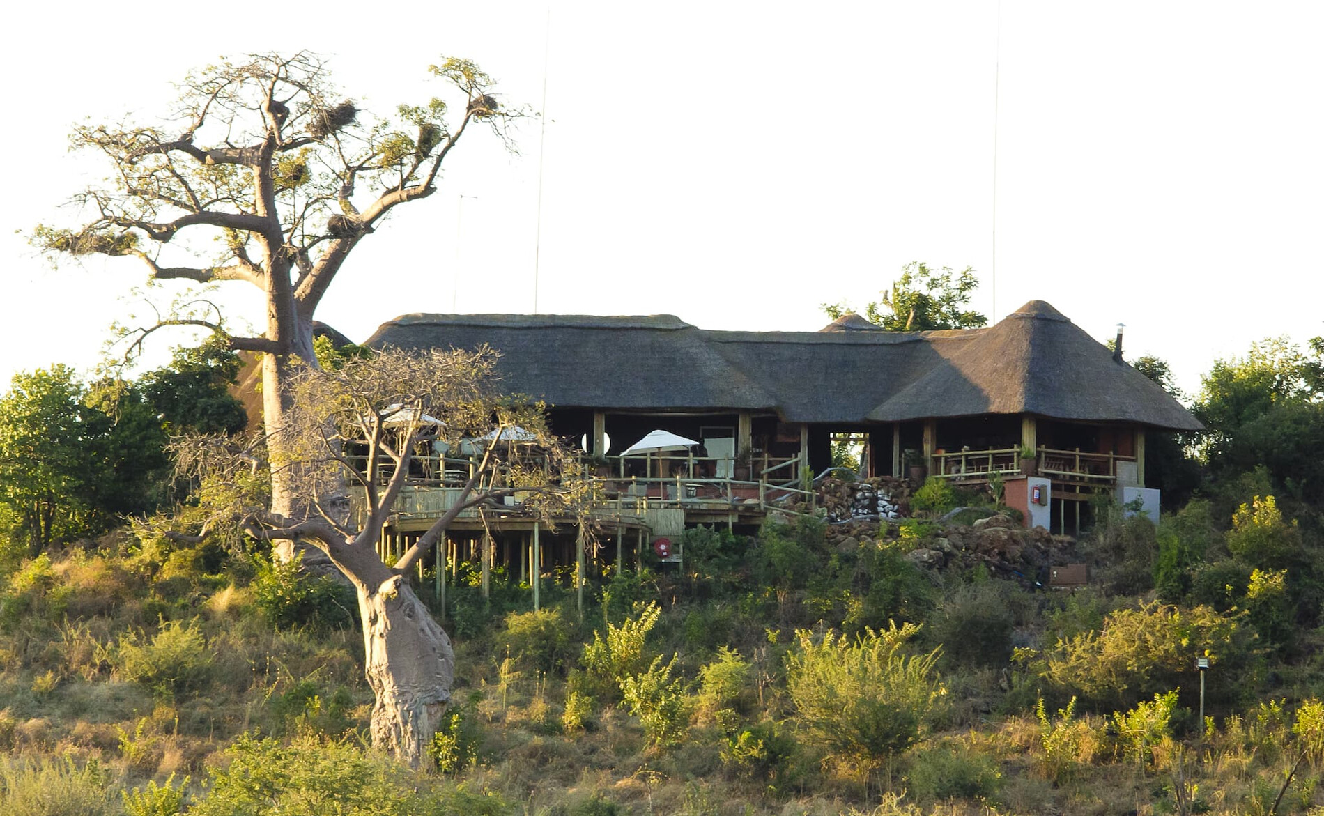 Ngoma Safari Lodge - Parc National de Chobe | Rhino Africa