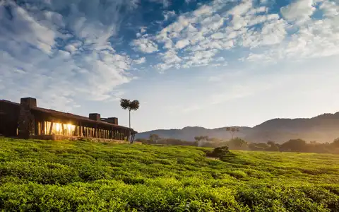 One&Only Nyungwe Tea Forest Resort